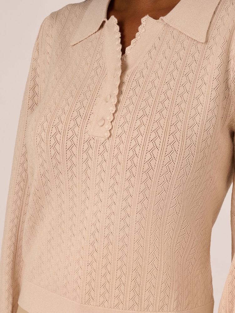 Adrianna Papell Pink Long Sleeve Pointelle Sweater With A Polo Collar - Image 5 of 6