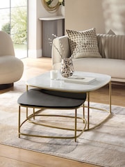 Dark Grey Valencia Marble and Mango Wood Nest of 2, Rectangular Coffee Tables - Image 1 of 8