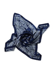 Aela Navy Paisley Print Tie Me Up Scarf - Image 1 of 2