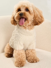 Creme - Lipsy Superweicher Hundepullover mit Zopfmuster und Wolle - Bild 1 von 4