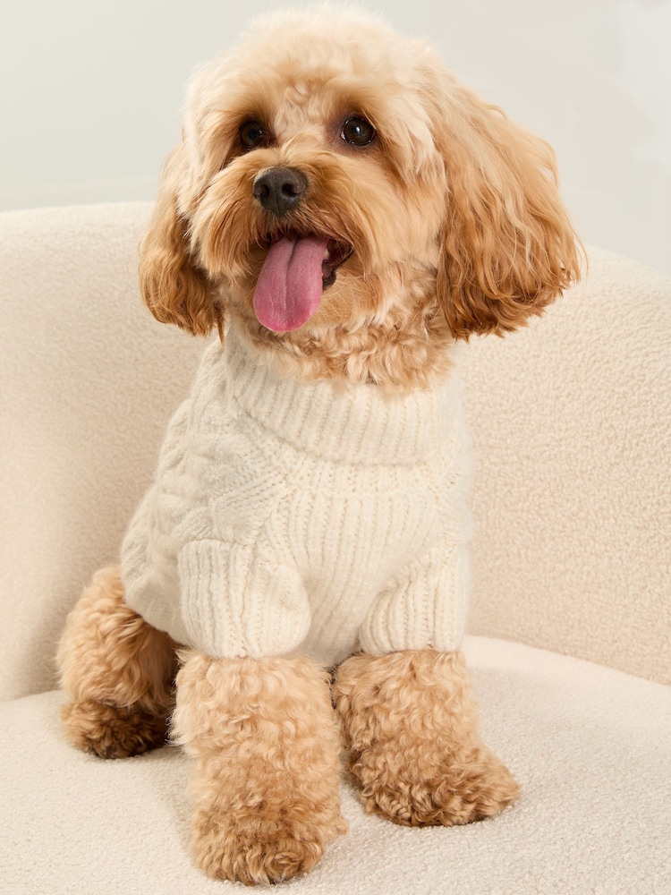 Creme - Lipsy Superweicher Hundepullover mit Zopfmuster und Wolle - Bild 1 von 4 Creme - Lipsy Superweicher Hundepullover mit Zopfmuster und Wolle - Bild 1 von 4