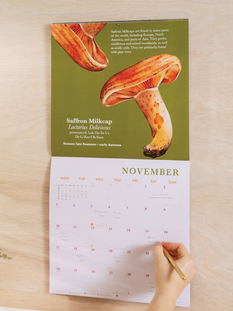Good Tuesday Mushroom 2025 Calendar - Image 2 of 5