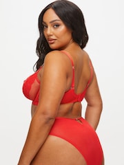 Ann Summers Red Sweet Surrender Lace & Mesh Non Pad DD+ Balcony Bra - Image 3 of 5
