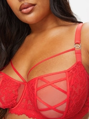 Ann Summers Red Sweet Surrender Lace & Mesh Non Pad DD+ Balcony Bra - Image 4 of 5