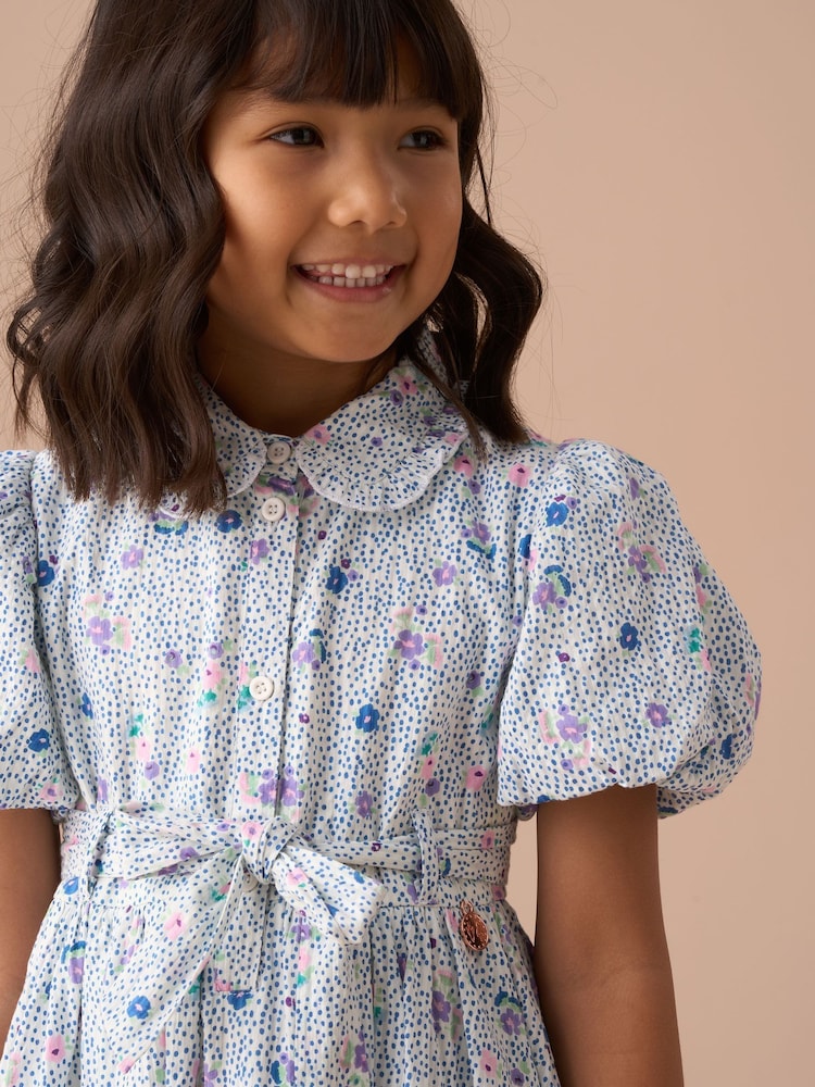 Petite Dresses Phase Eight Danni Printed Floral Dress Buy Angel