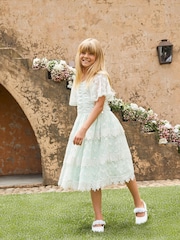 Angel & Rocket Green Annabelle Vintage Lace Mesh Dress - Image 1 of 13