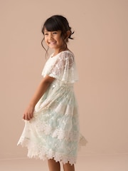 Angel & Rocket Green Annabelle Vintage Lace Mesh Dress - Image 12 of 13