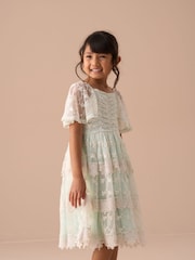 Angel & Rocket Green Annabelle Vintage Lace Mesh Dress - Image 13 of 13