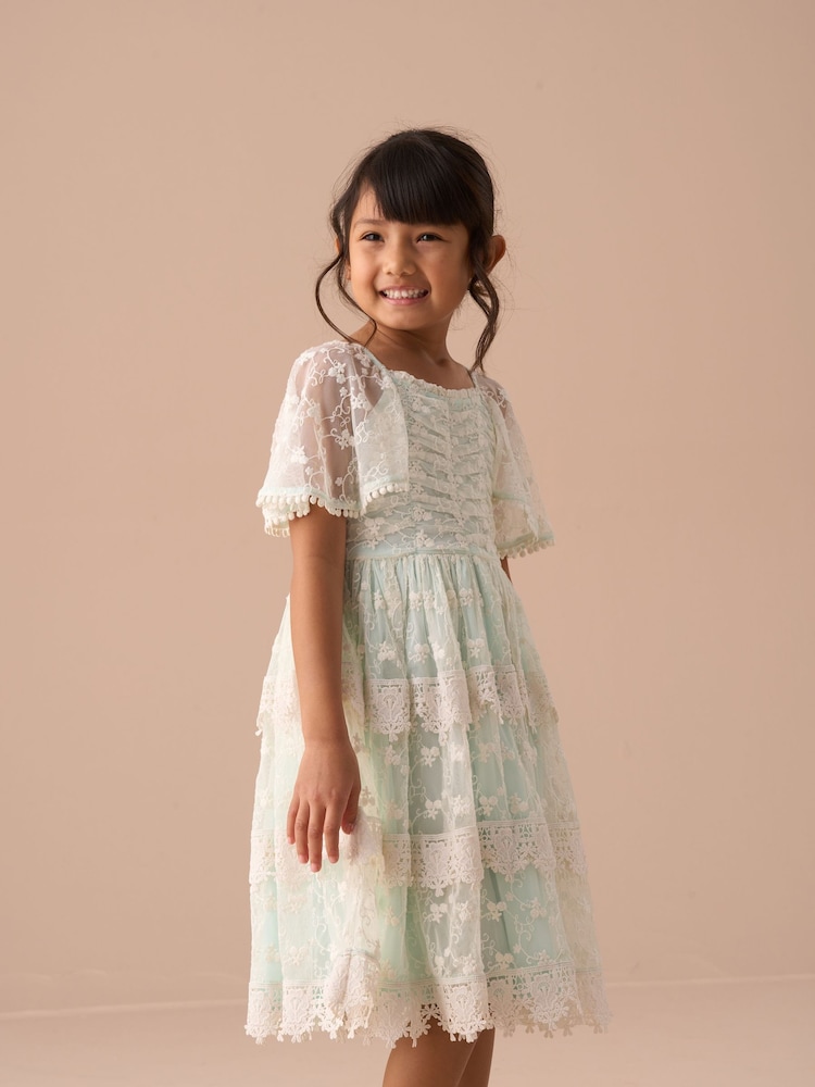 Angel & Rocket Green Annabelle Vintage Lace Mesh Dress - Image 13 of 13