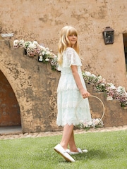 Angel & Rocket Green Annabelle Vintage Lace Mesh Dress - Image 7 of 13