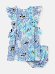 Angel & Rocket Blue Alessandra Pansy Print Tie Side 100% Cotton Dress And Bloomer Set - Image 6 of 7