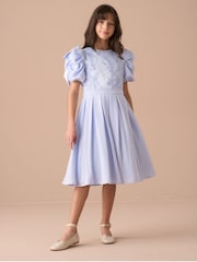 Angel & Rocket Blue Coralie Embroidered Bodice Dress - Image 8 of 15