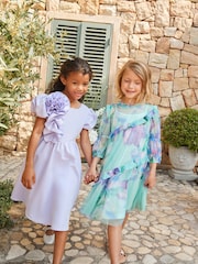 Angel & Rocket Blue Beatrice Mesh Asymmetric Frill Dress - Image 4 of 14