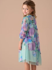 Angel & Rocket Blue Beatrice Mesh Asymmetric Frill Dress - Image 9 of 14