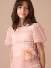 Angel & Rocket Pink Clara Pleated Mesh Corsage Dress - Image 12 of 15