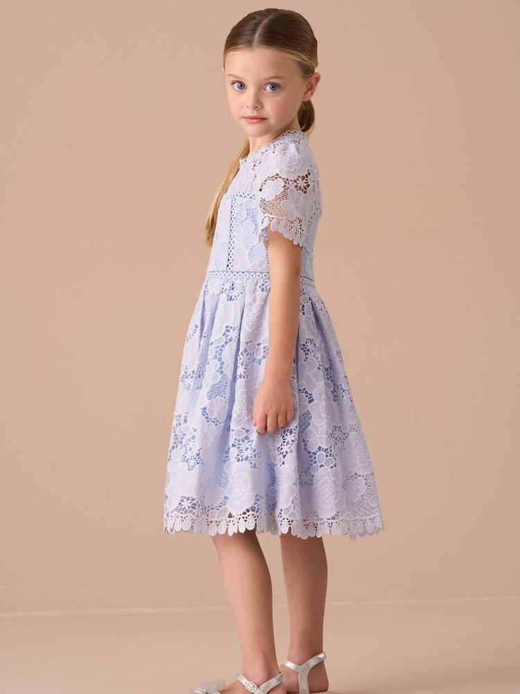 Angel & Rocket Blue Mavea Collared Lace Dress - Image 3 of 8