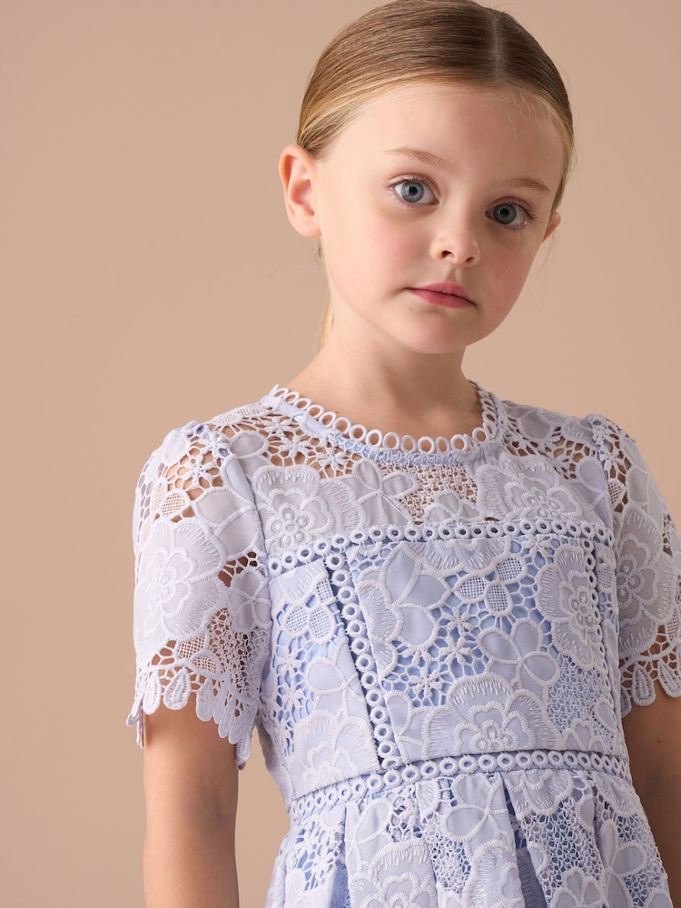 Angel & Rocket Blue Mavea Collared Lace Dress - Image 5 of 8