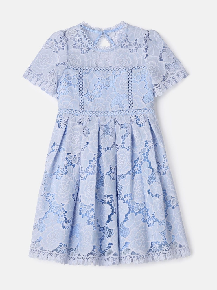 Angel & Rocket Blue Mavea Collared Lace Dress - Image 6 of 8