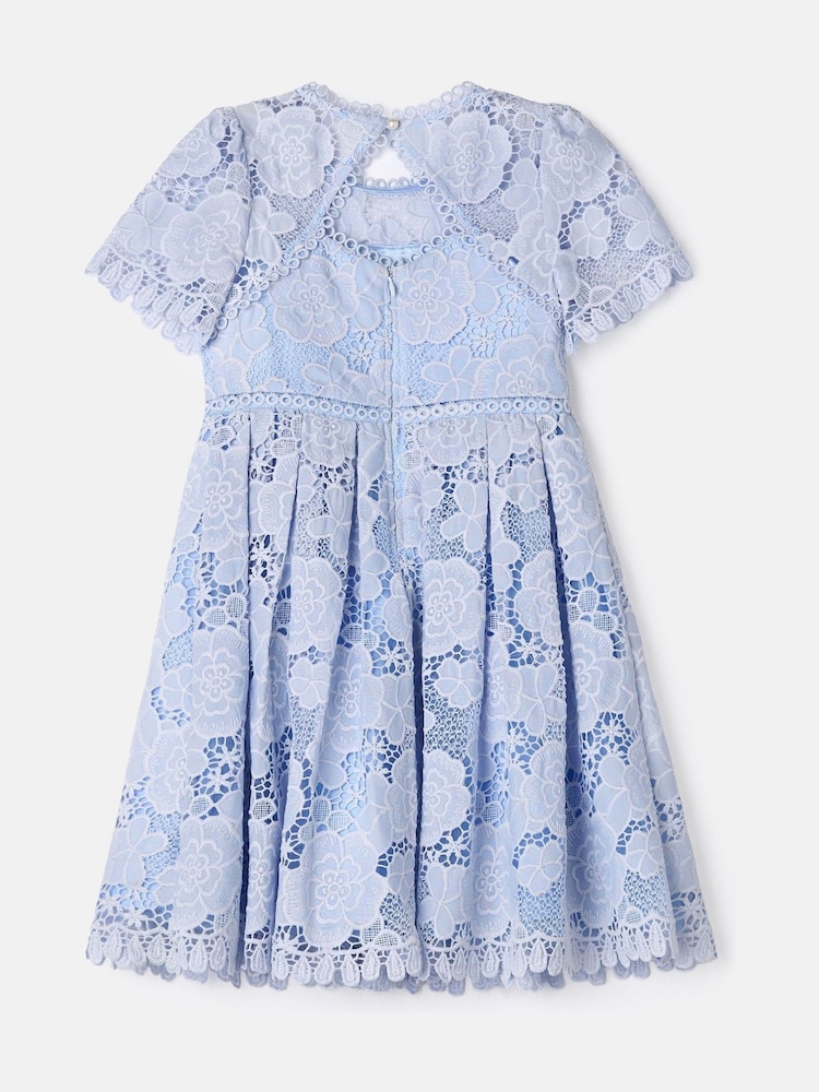 Angel & Rocket Blue Mavea Collared Lace Dress - Image 7 of 8