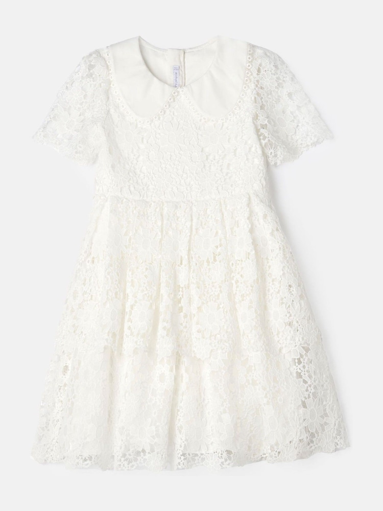 Angel & Rocket White Mavea Collared Lace Dress - Image 6 of 8