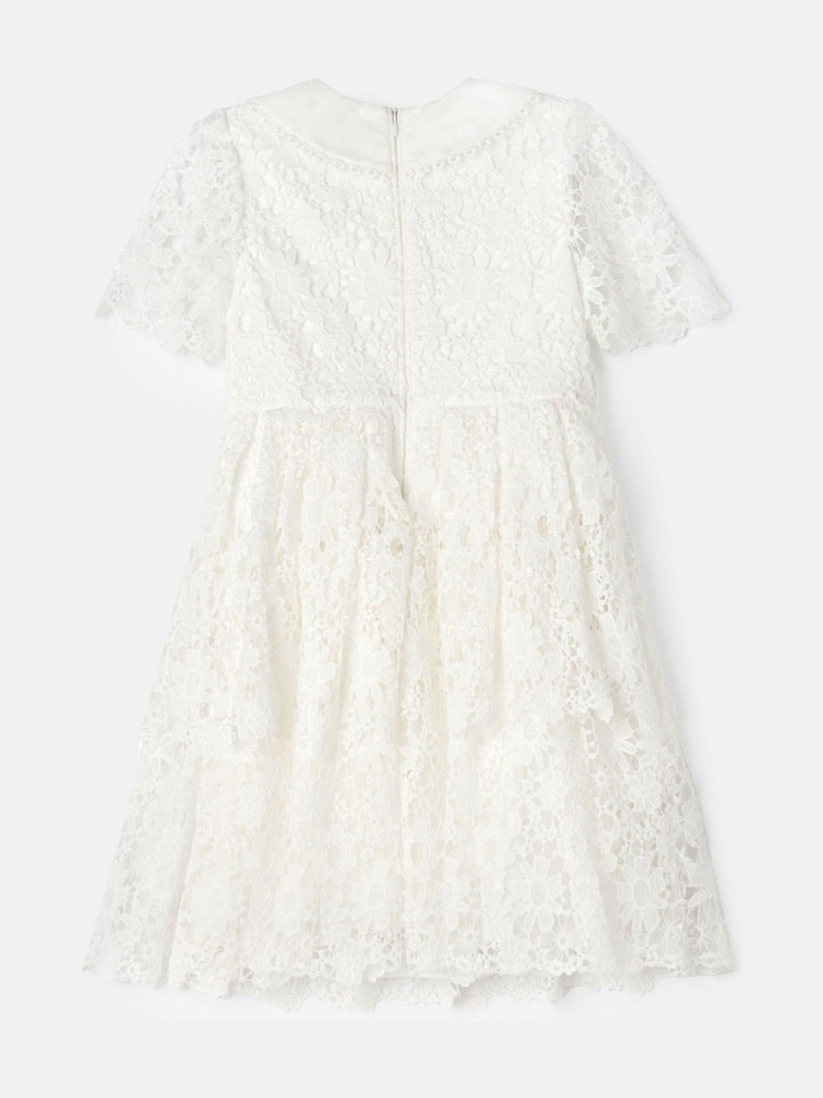 Angel & Rocket White Mavea Collared Lace Dress - Image 7 of 8