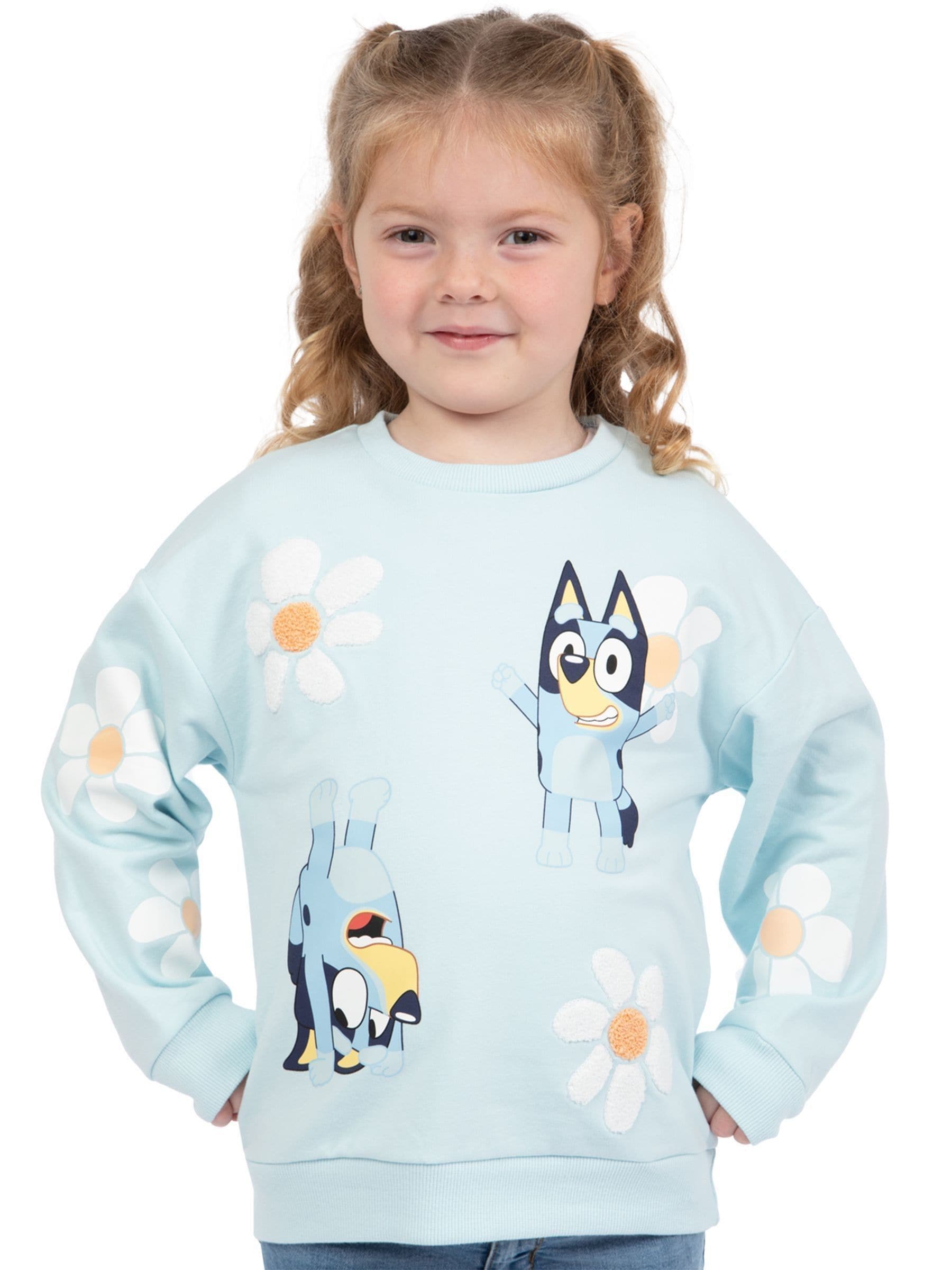 Buy Character Blue Embroidered Daisy Sweatshirt from Next USA