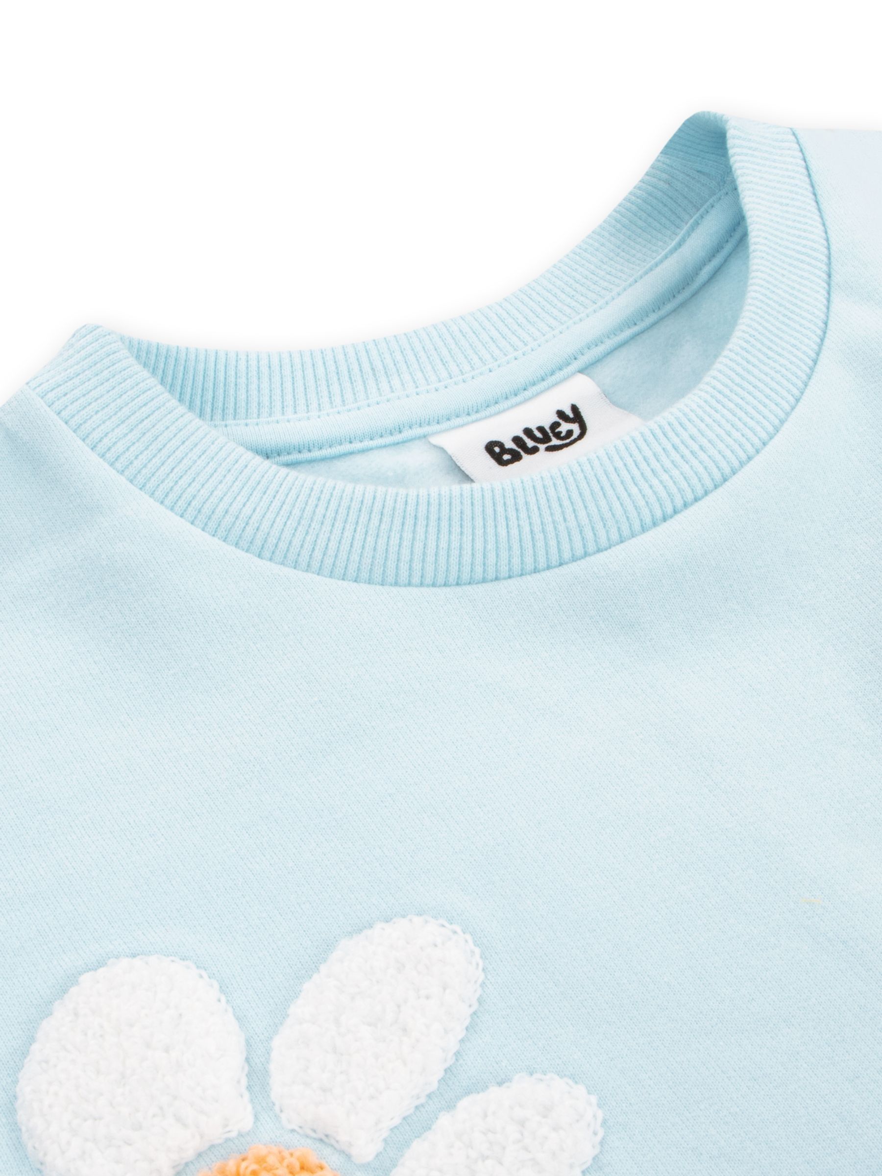 Buy Character Blue Embroidered Daisy Sweatshirt from Next USA