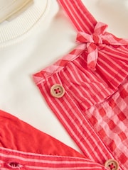 Red/ Pink Gingham Baby Dungarees and Bodysuit 2 Piece Set (0mths-2yrs) - Image 7 of 10