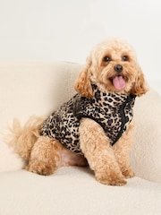 Lipsy Black Reversible Dog Padded Jacket - Image 1 of 4