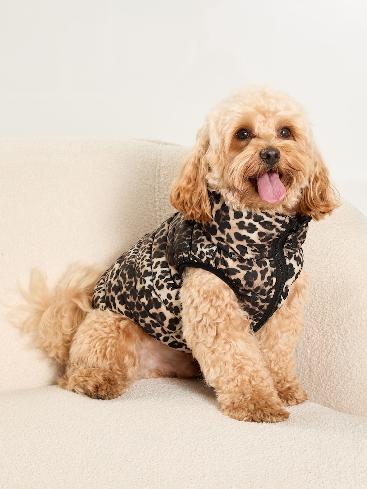 Lipsy Black Reversible Dog Padded Jacket - Image 1 of 4