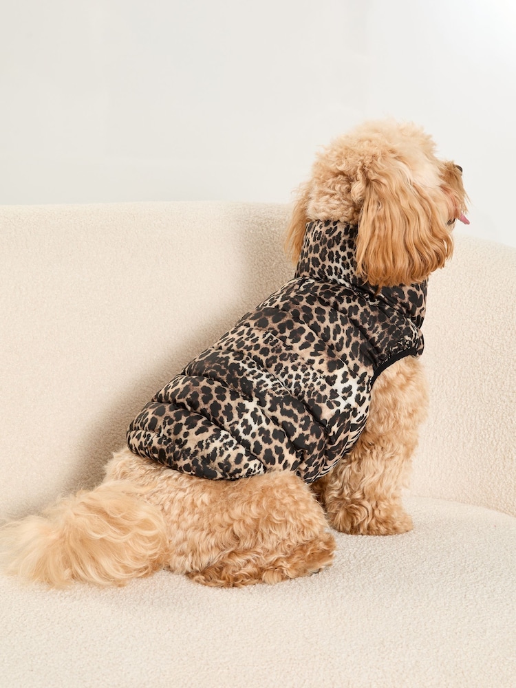 Lipsy Black Reversible Dog Padded Jacket - Image 2 of 4