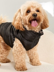 Lipsy Black Reversible Dog Padded Jacket - Image 3 of 4