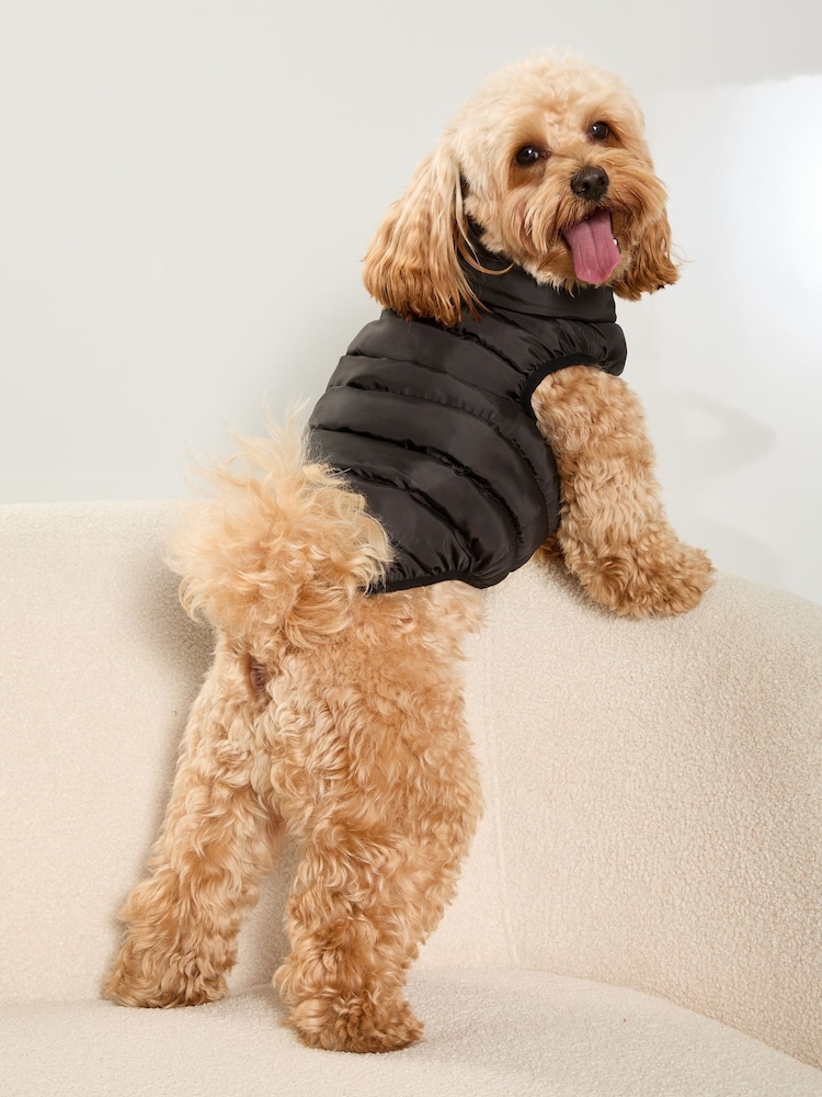 Lipsy Black Reversible Dog Padded Jacket - Image 4 of 4