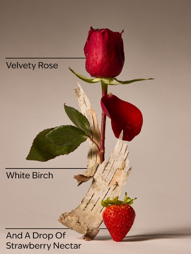 Bath & Body Works Youre The One Ultimate Hydration Body Cream 226g - Image 2 of 2 Bath & Body Works Youre The One Ultimate Hydration Body Cream 226g - Image 2 of 2