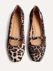 Linzi Animal Cressida Ballet Pumps With Bow Detail - Image 4 of 5