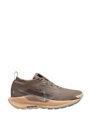 Nike Brown Pegasus Trail 5 GORE-TEX Waterproof Trail Running Trainers - Image 1 of 4