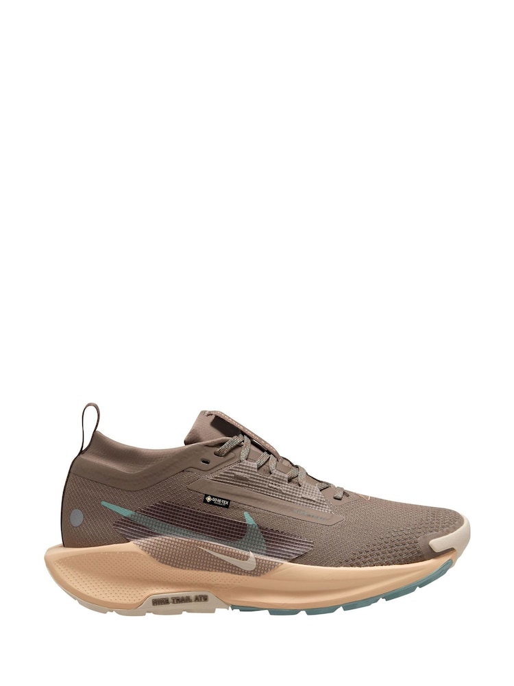 Nike Brown Pegasus Trail 5 GORE-TEX Waterproof Trail Running Trainers - Image 1 of 4