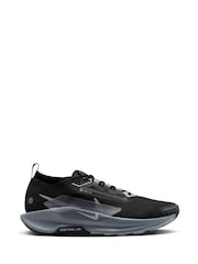 Nike Black/Grey Pegasus Trail 5 GORETEX Trail Running Trainers - Image 1 of 12