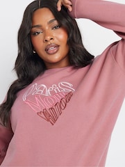 Yours Curve Paris Tonal Embroided Sweatshirt - صورة 4 من 5