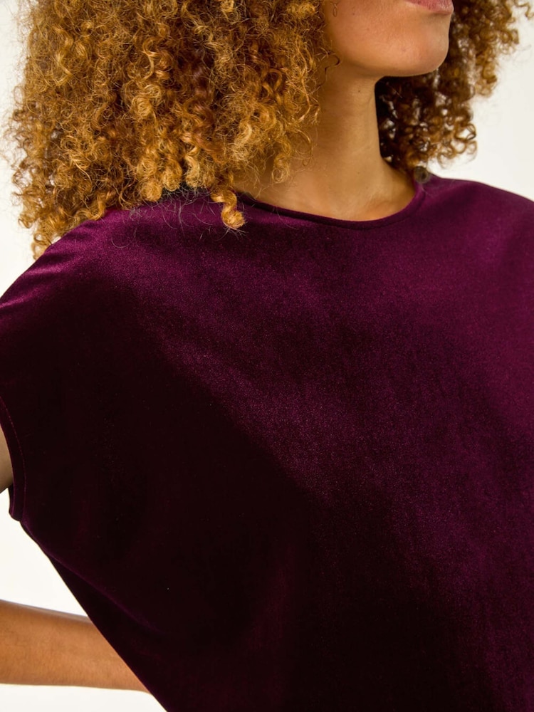 Roman Red Velvet Round Neck Stretch Top - Image 5 of 5