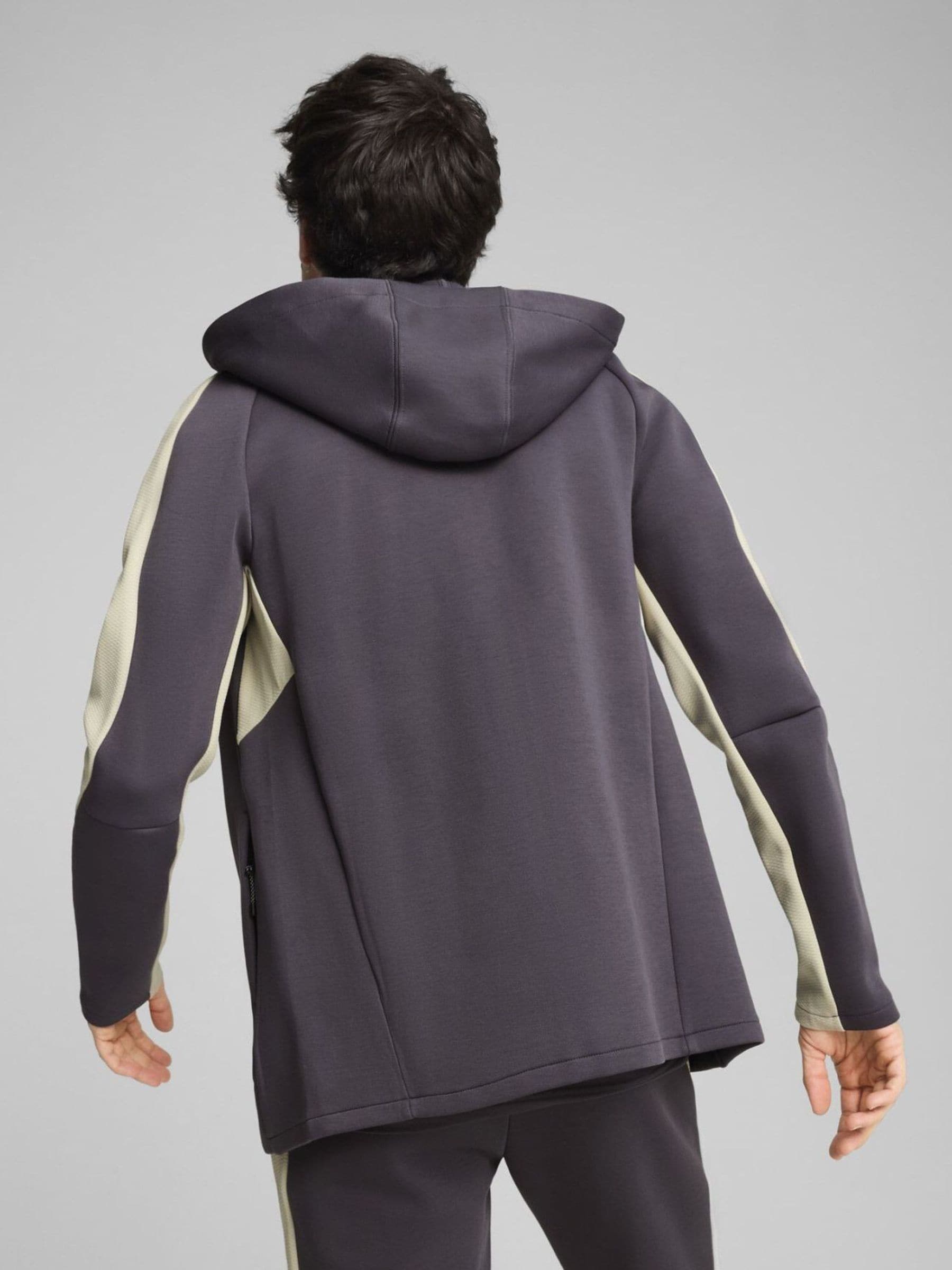 Buy Puma Grey Chrome Mens Evostripe Full Zip Hoodie from Next USA