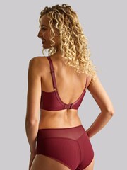 Panache Red Tango Essence Deep Briefs - Image 3 of 4