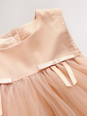 Blush Pink Sleeveless Bow Mesh Dress (3mths-7yrs) - Image 7 of 8