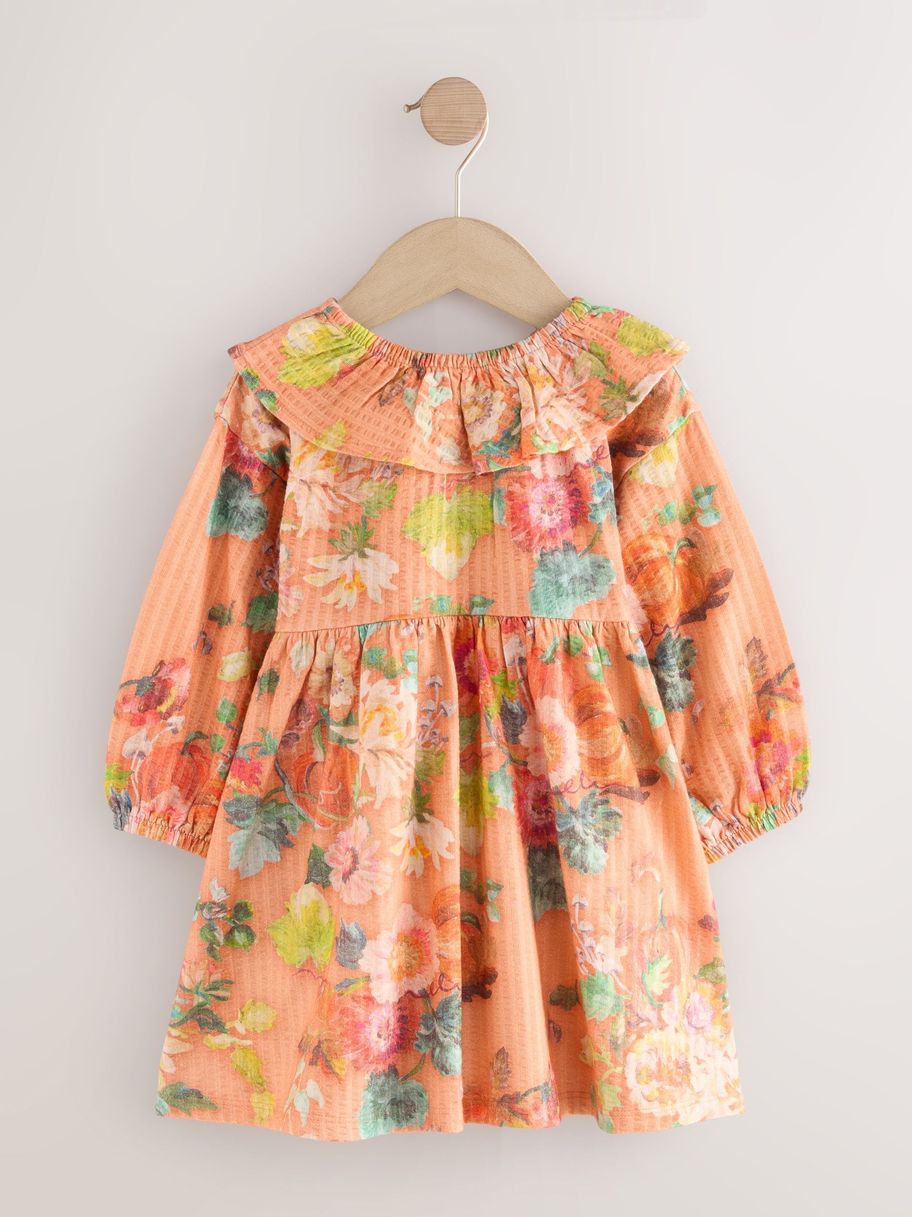 Buy Autumnal Orange Long Sleeve Collared Dress (3mths-7yrs) from
