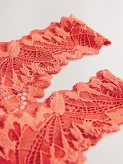 Rust Thong Ultimate Comfort Lace Knickers 2 Pack - Image 4 of 5