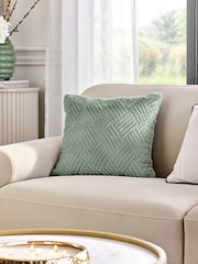 Sage Green 43 x 43cm Basset Embossed Faux Fur Cushion - Image 1 of 5