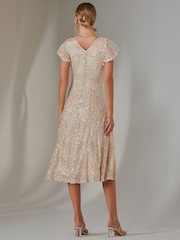 Jolie Moi Natural Fit & Flare Sequin V-Neck Midaxi Dress - Image 2 of 6