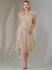 Jolie Moi Natural Fit & Flare Sequin V-Neck Midaxi Dress - Image 4 of 6