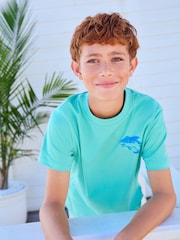 Aqua Shark Simple Short Sleeve 100% Cotton T-Shirt (3-16yrs) - Image 2 of 10