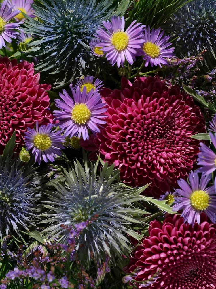 Bloom & Wild Purple The Zora Fresh Flower Bouquet - Image 2 of 4